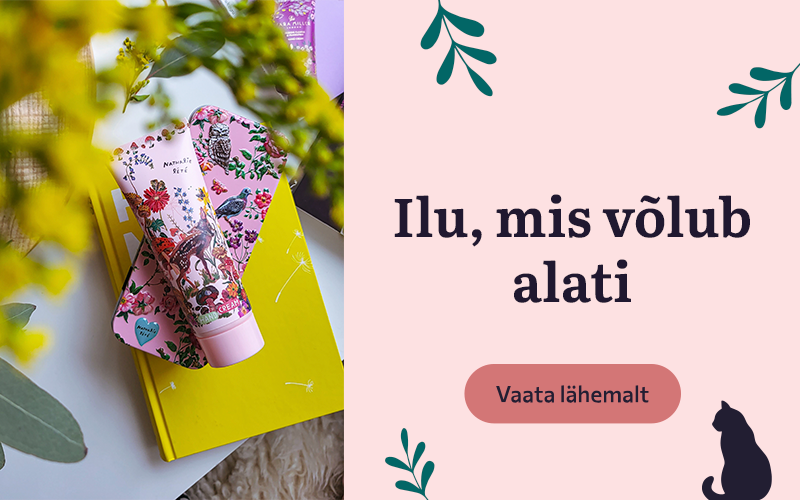Ilu ja stiil